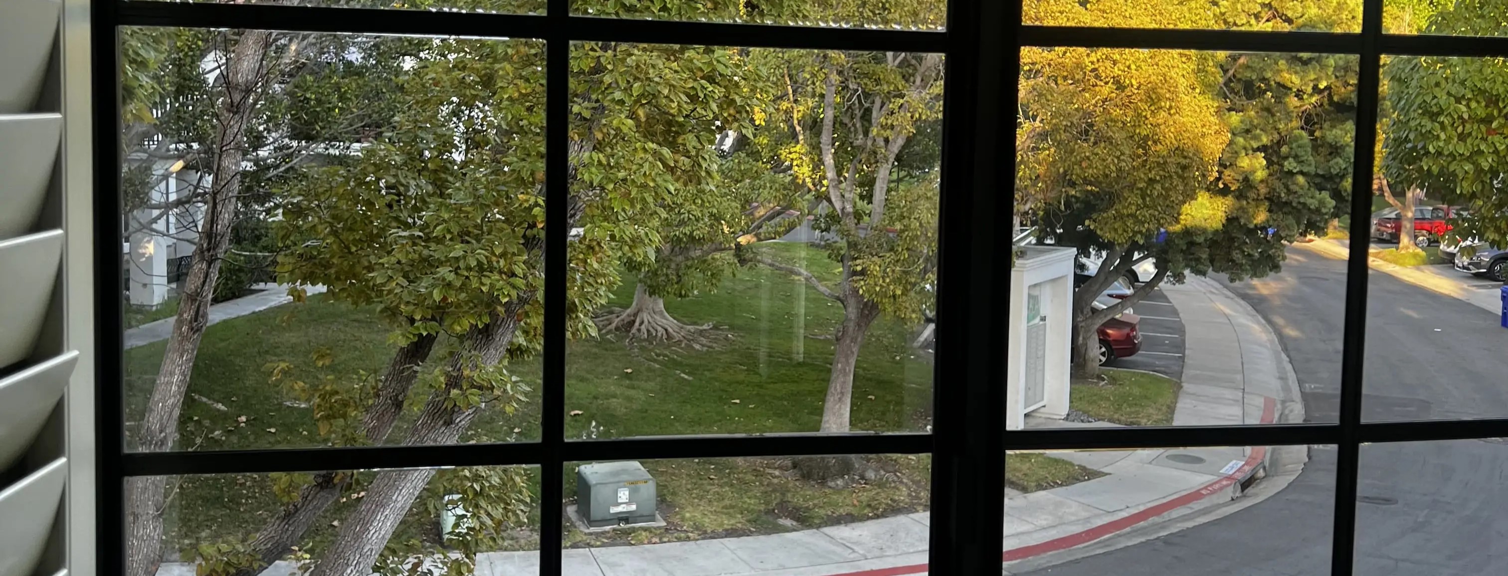 Close-up of window cleaning